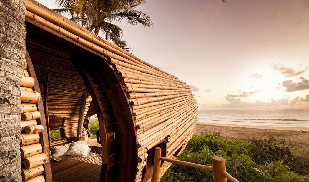 L’entrée principale de cette maison dans les arbres avec le magnifique cadre environnant cabane en bois arbres exotique sur la plage