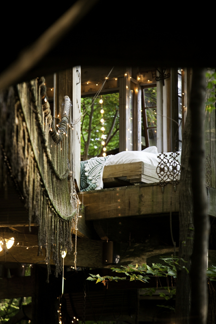 maison dans les arbre en bois