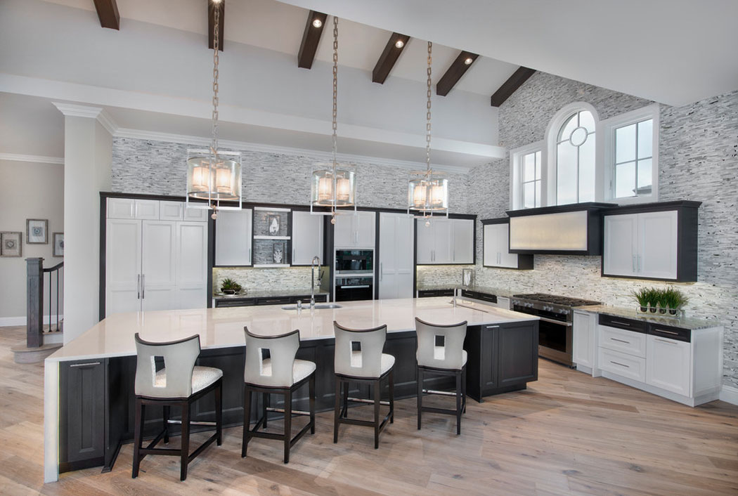 cuisine ouverte aménagée design luxe 
