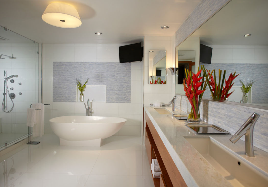 Grande et spacieuse salle de bains avec tous les conforts - baignoire, douche italienne, télé salle de bains design luxe tout confort