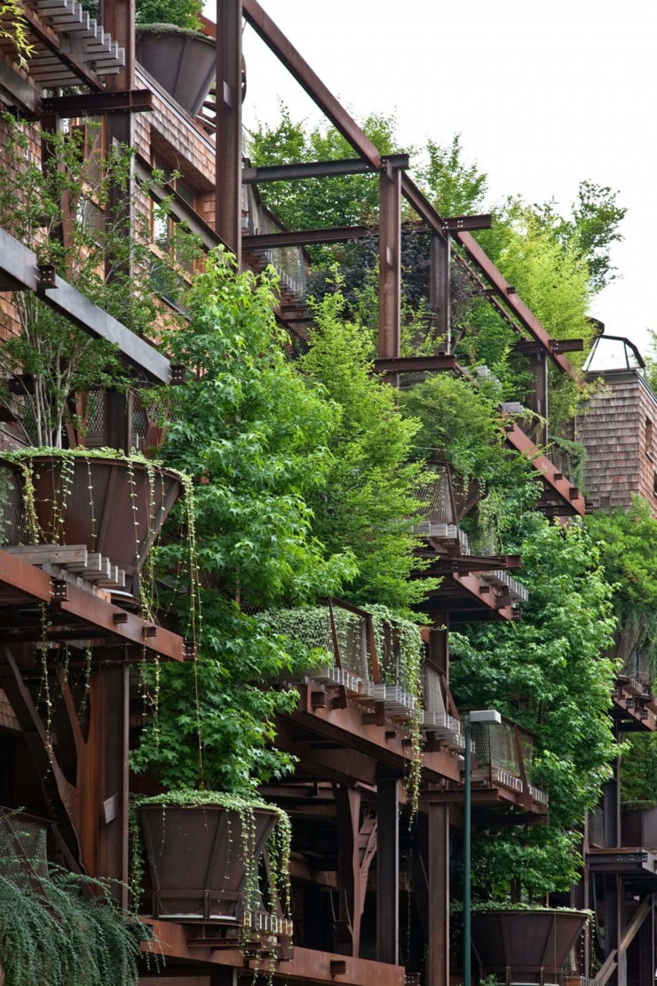 arbres vivants immeubles écologique