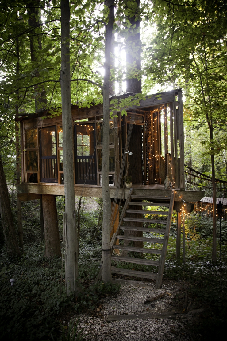 cabane vue d'extérieur dans les arbres