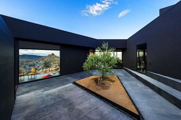 patio avec arbre maison moderne