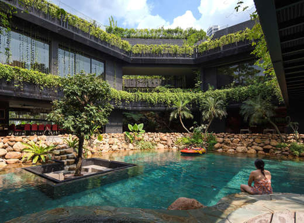 Originale maison familiale où la nature et la verdure occupent une place de privilégié piscine naturelle avec verdure maison d'archi