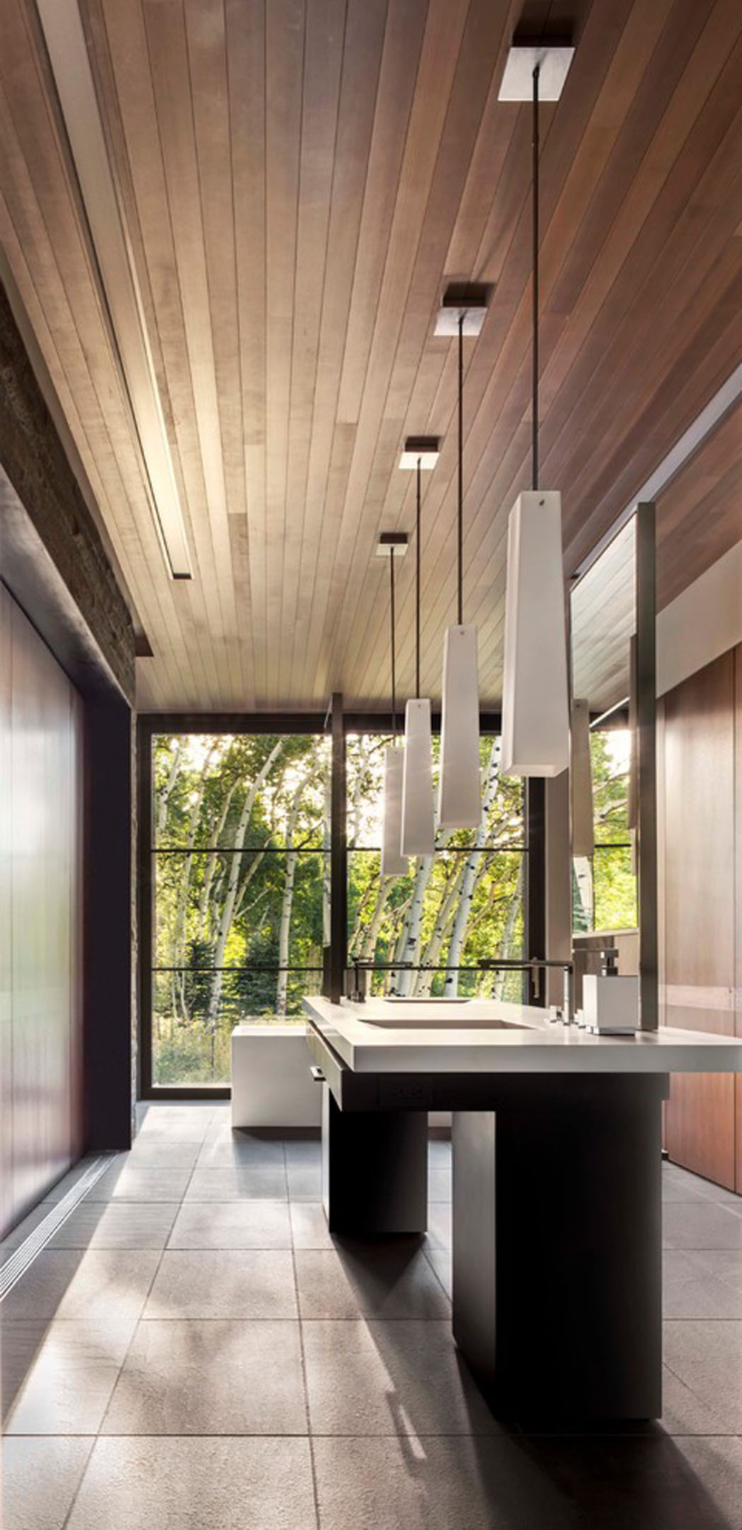 Les étagères dissimulées de la salle de bains permettent de souligner le beau paysage naturel salle de bain design minimaliste luxe