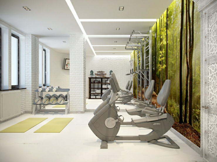 L'espace dédié à la gym et au fitness appartement de luxe salle de fitness