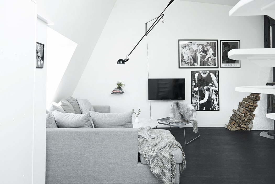 bel appartement moderne design intérieur scandinave