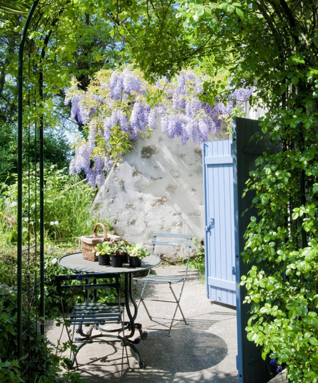 Outdoor terrasse aux glycines