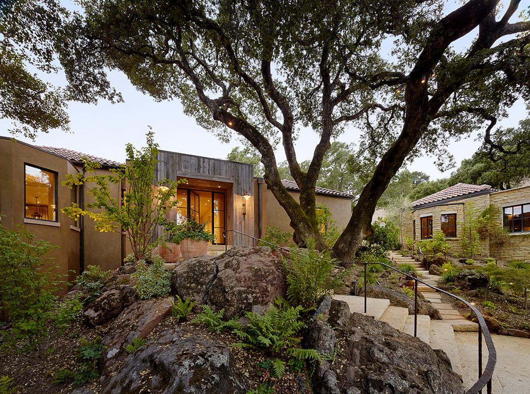 belle maison moderne ne plein nature