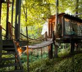 maison rustique dans les arbres atlanta