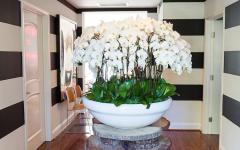 Fleurs et peau de bête effet déco de la maison moderne maison moderne de luxe beverly hills