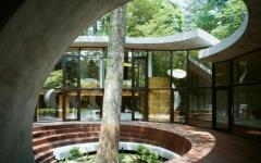 arbre vivant intégré maison futuriste