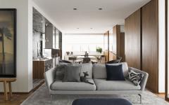 design intérieur appartement masculin et minimaliste