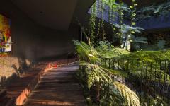 Les allées de cette maison familiale écologique font plus penser à un parc verdure partout maison verte éco