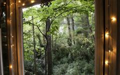 maison en bois dans les arbres atlanta architecte