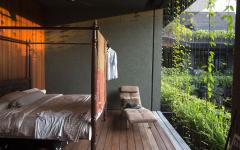 ouverture exotique chambre maison verte