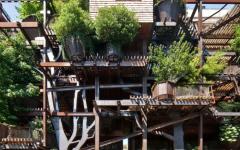 bâtiment écologique en bois