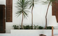 extérieur minimaliste design simple