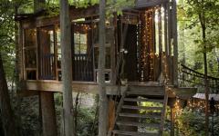 cabane vue d'extérieur dans les arbres
