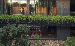 Le bois et les pierres se marient parfaitement avec les plantes vertes grimpantes de la façade architecture créative grande belle demeure écologique verte