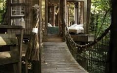 enfants cabanes dans les arbres