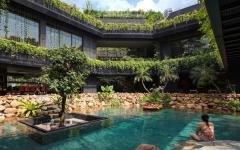 piscine naturelle avec verdure maison d'archi