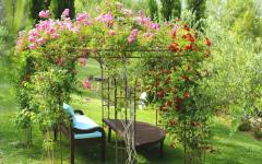 espaces outdoor villa de luxe ibiza