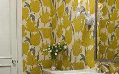 déco rétro toilettes