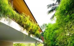 verdure maison sympa exotique