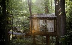 maison en bois vue de loin dans les arbres verts