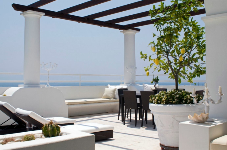 Citronnier et pergola en bois exotique pour une ambiance classe villa de vacance terrasse design