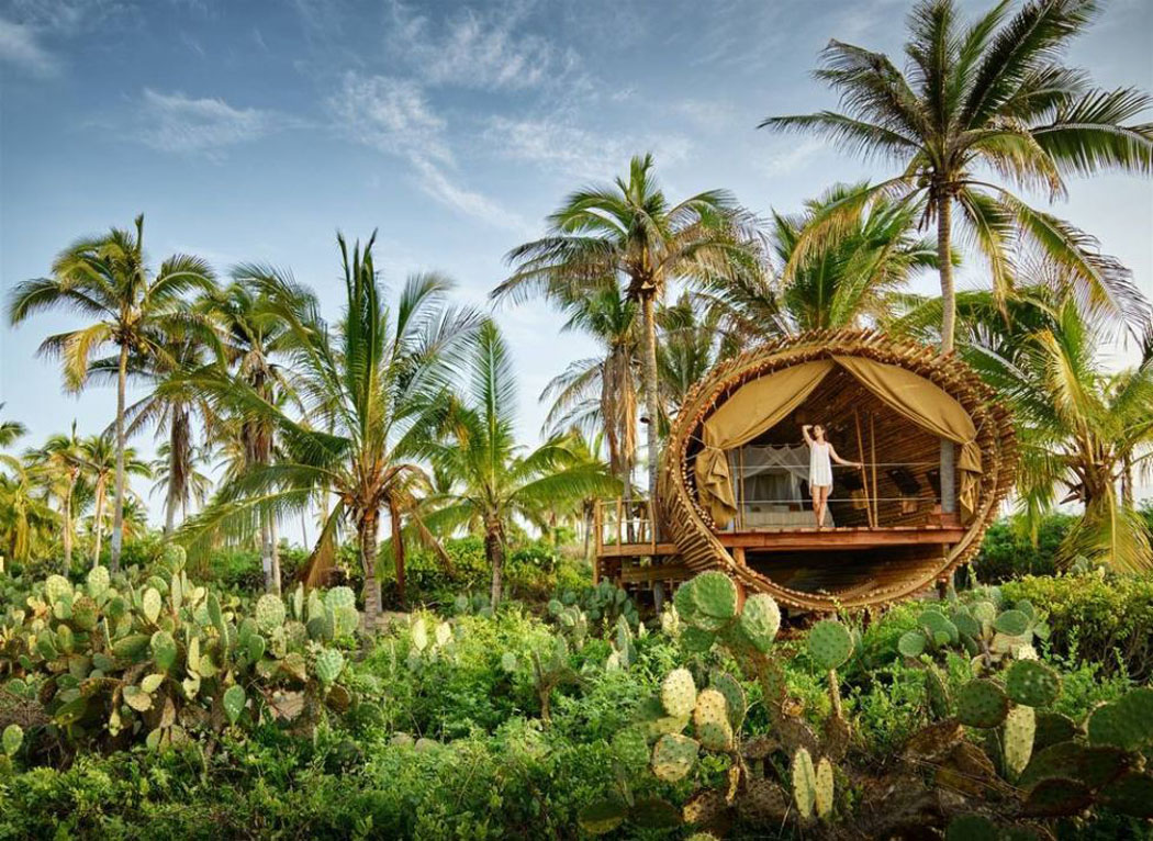 Nichée parmi les palmiers et les cactus cette villa de location offre des moments inoubliables de vacances originales à l’autre bout du monde vacances exotiques maison en bois retraite