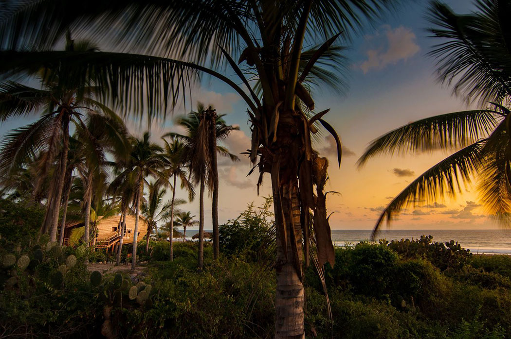 Les vacances originales sont garanties par l’immersion totale dans le paysage de cette maison en bois paysage exotique mexique plage villa écologique de retraite