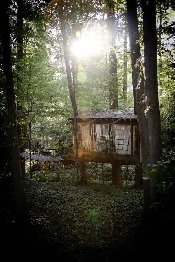 maison en bois vue de loin dans les arbres verts
